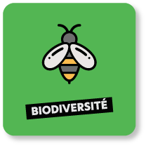 Plan Biodiver'Cité